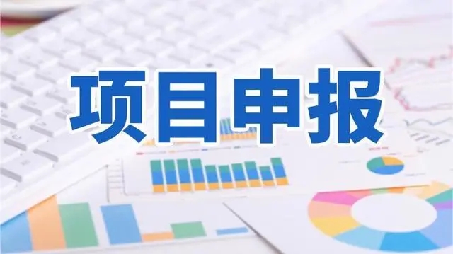 政府项目申报的技巧有哪些?