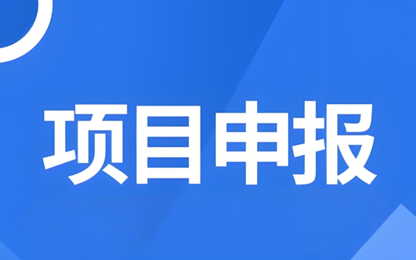 政府项目申报的好处有哪些?需要注意什么？