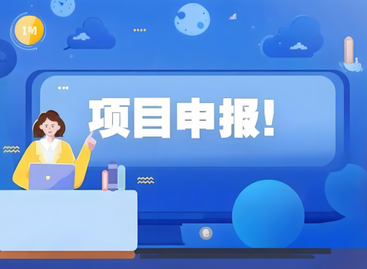 如何办理政府项目申报,具体有哪些流程需要注意？