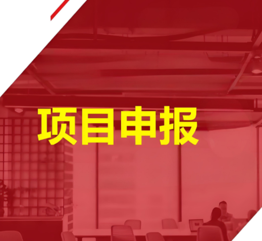 全面剖析政府项目申报对企业有哪些利益和优势？