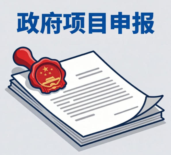 综合分析政府项目申报有哪些实用建议？